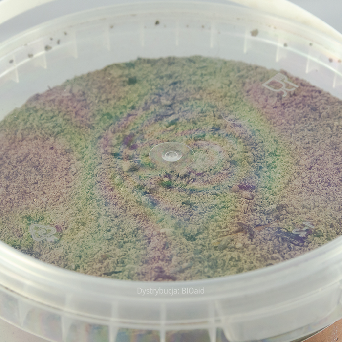 Naturalny popiół drzewny 1,2 kg