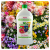 Nawóz do kwiatów 750 ml.png